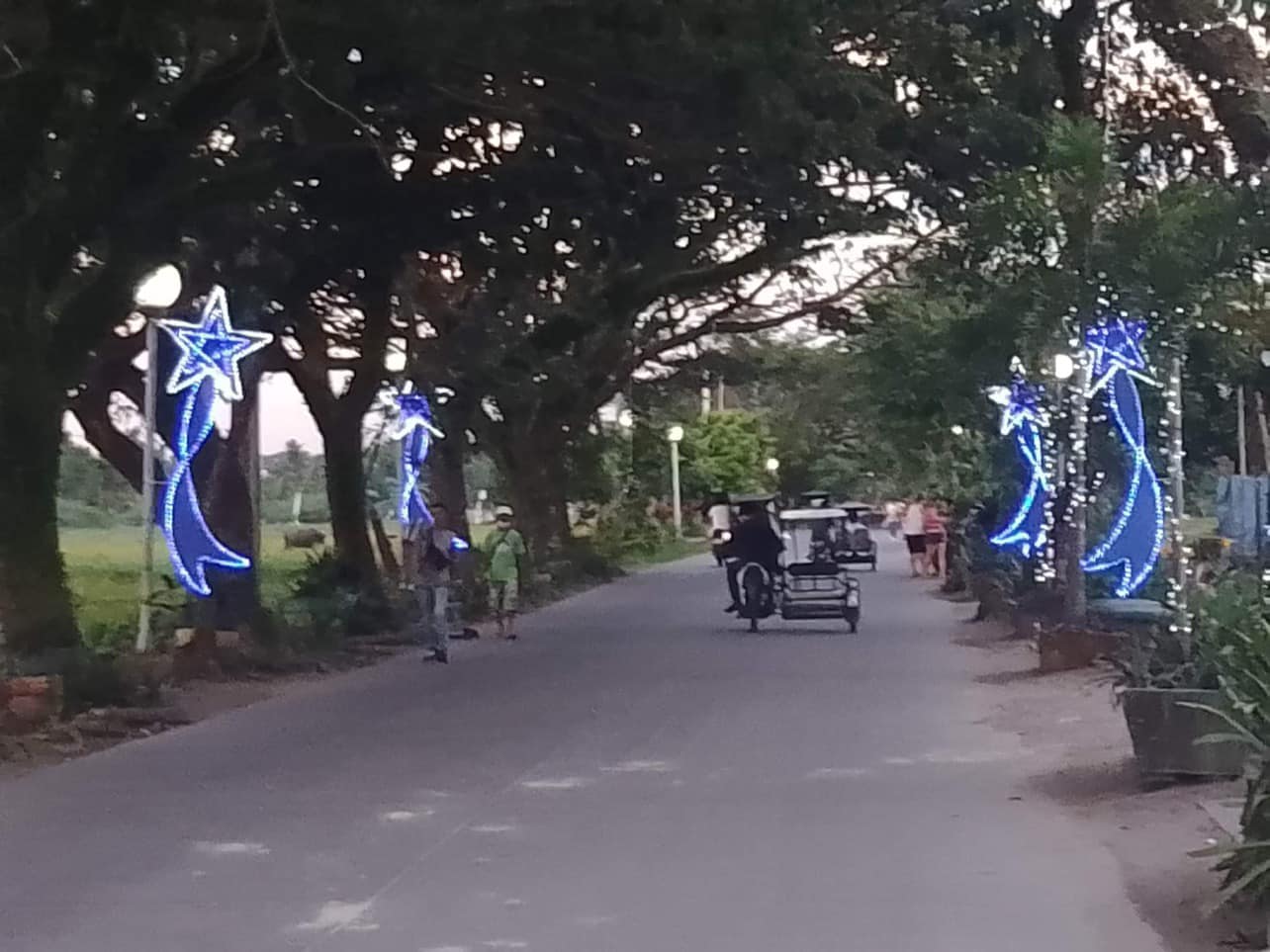 Repair of Street lights and Simple Christmas Lights Decoration at Arnaldo Street – Kap Rosinie Distrito